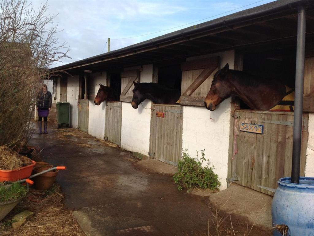 Swallows Rest Bed & Breakfast 4*