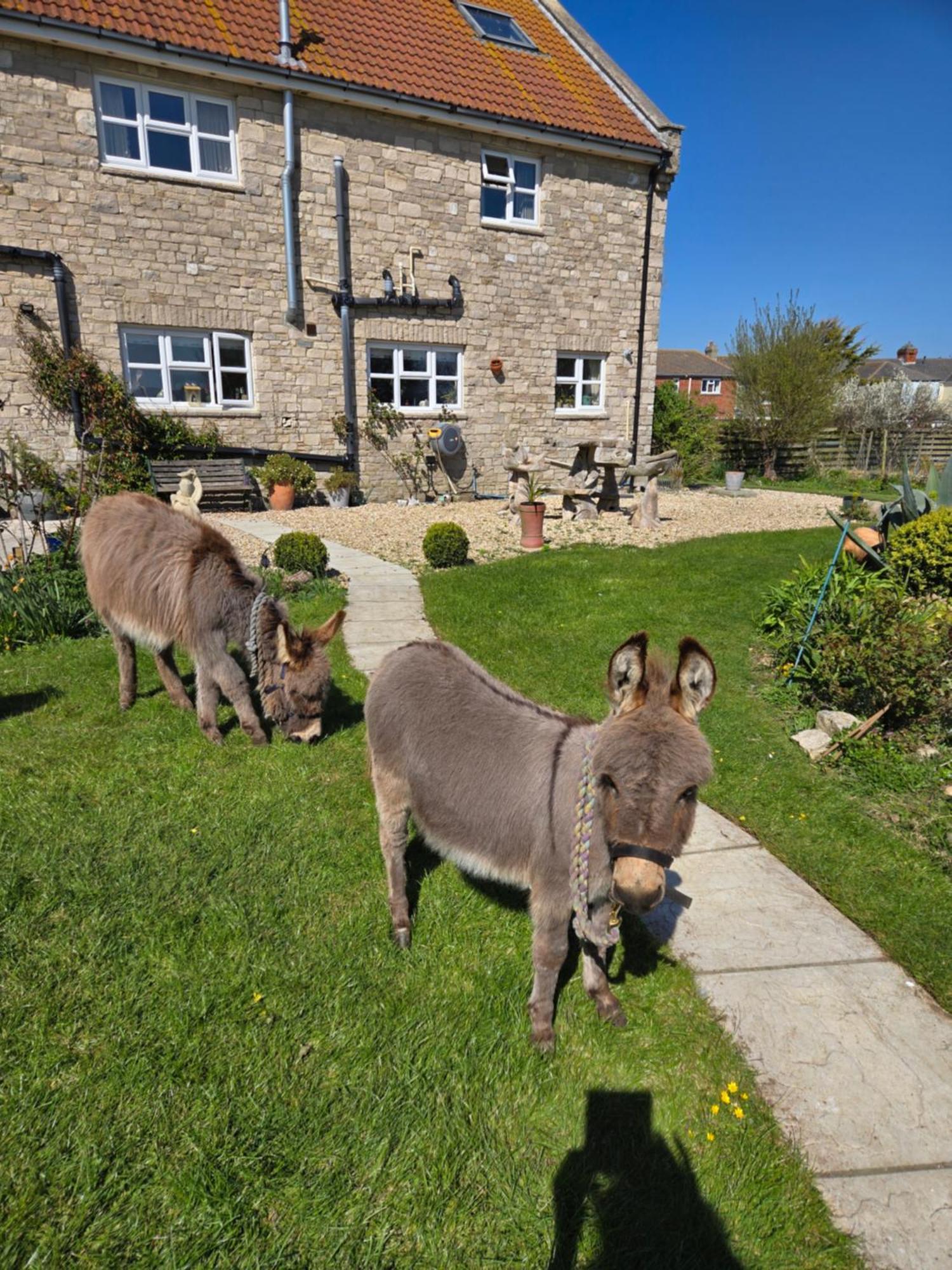 Bed & Breakfast Swallows Rest Weymouth