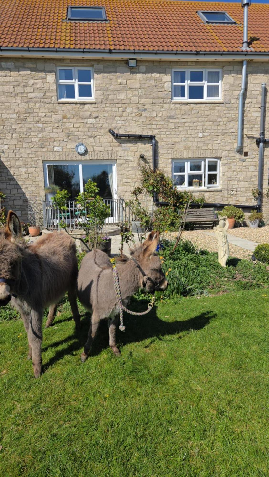 Swallows Rest Bed & Breakfast